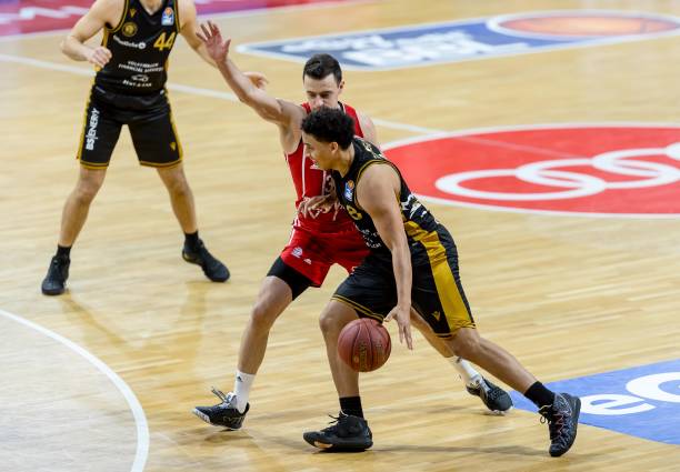 他们给了拉 他们给了拉